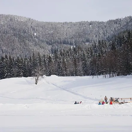 Apartmán Kainhofer Sankt Martin am Tennengebirge
