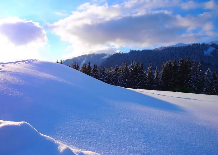 Apartman Kainhofer *