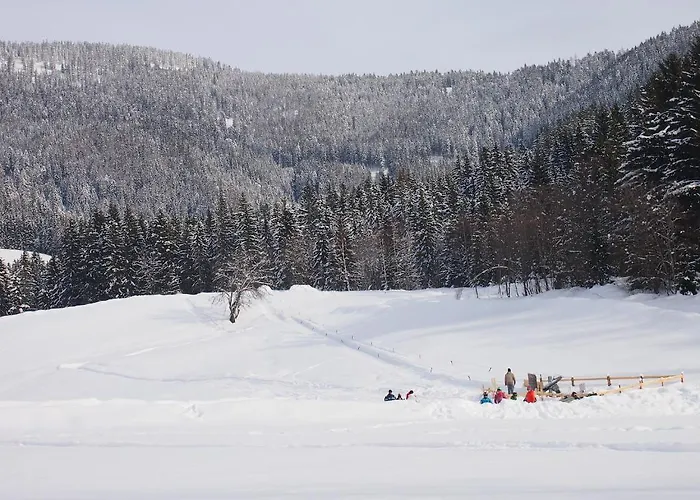 Lägenhet Kainhofer Sankt Martin am Tennengebirge
