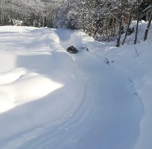 Kainhofer Apartman *